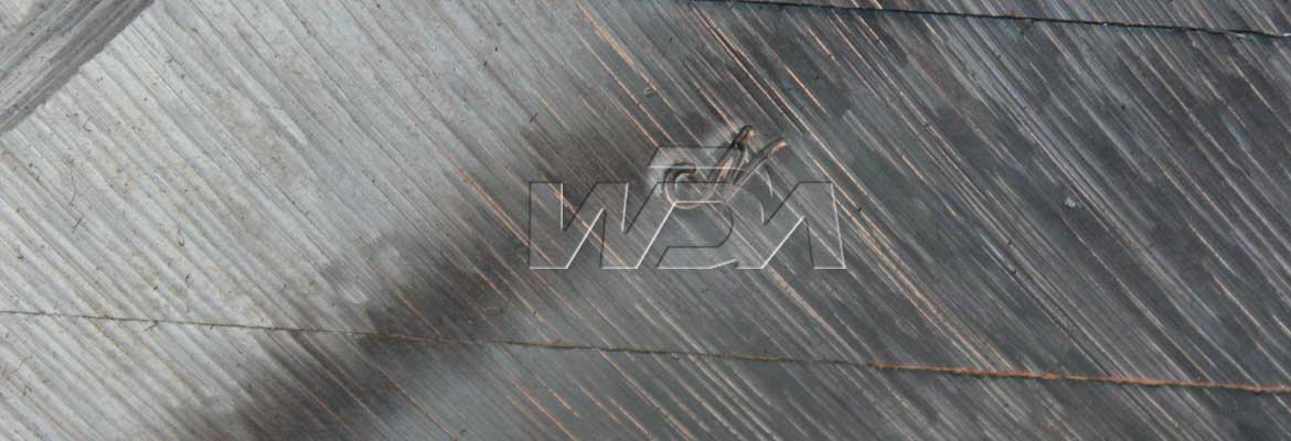 Marine Grade Plate manufacturer